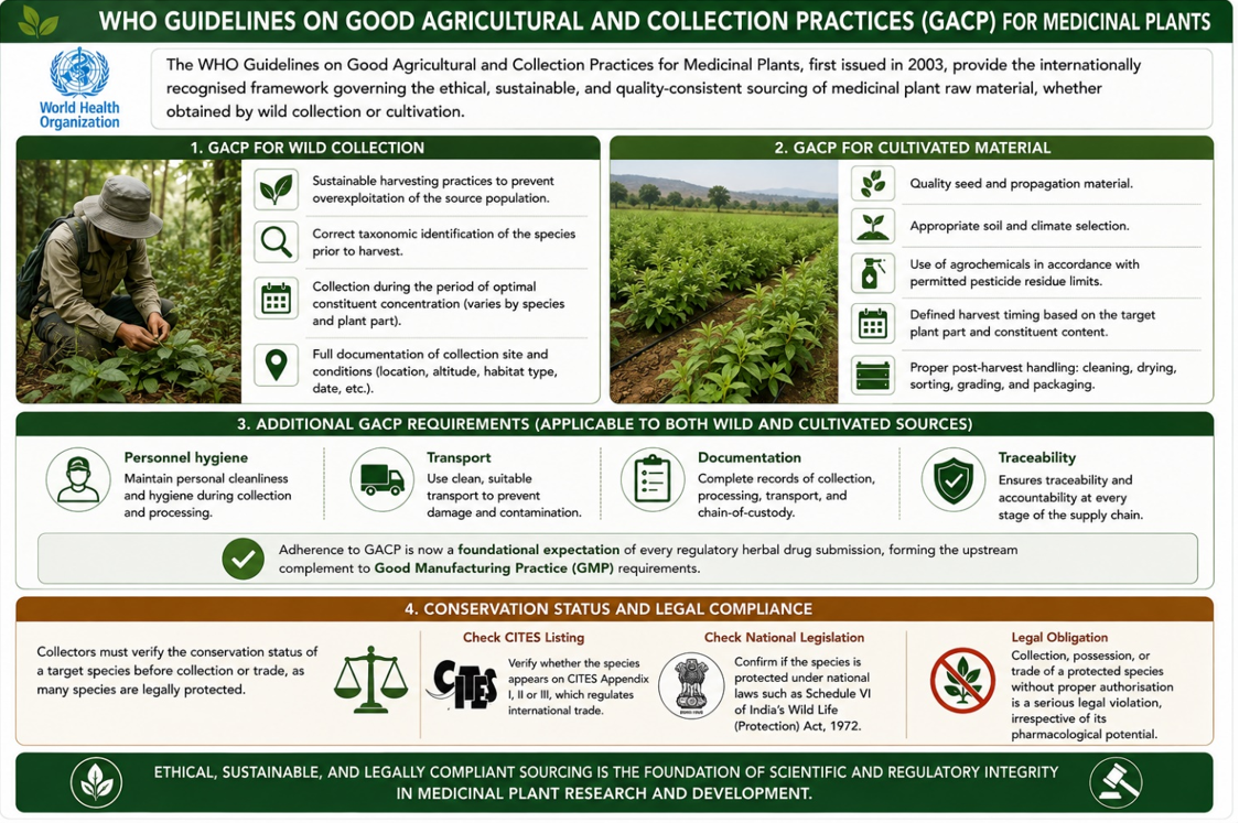 WHO Guidelines on Good Agricultural and Collection Practices (GACP) for Medicinal Plants: GACP for wild collection, GACP for cultivated material, additional requirements applicable to both (personnel hygiene, transport, documentation, traceability), and conservation status and legal compliance including CITES listing and national legislation