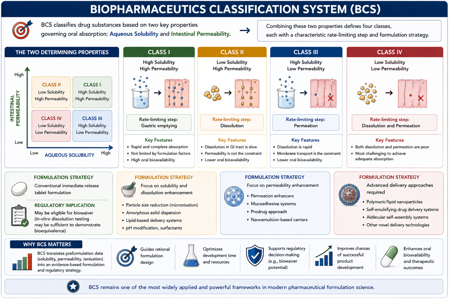 Biopharmaceutics Classification System