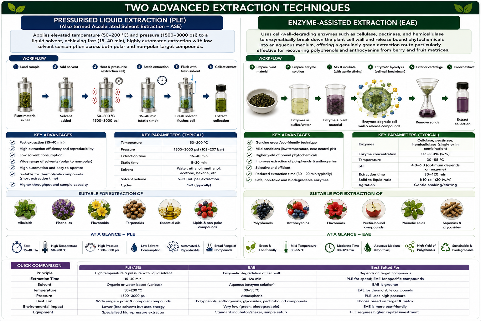 Two advanced extraction techniques: Pressurised Liquid Extraction (PLE / Accelerated Solvent Extraction) and Enzyme-Assisted Extraction (EAE) — workflow, key advantages, key parameters, suitability, and comparison