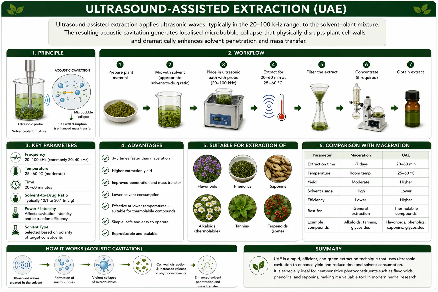 Ultrasound-assisted extraction (UAE): principle, workflow, key parameters, advantages, suitability, and comparison with maceration